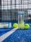 Head Pro+ Padel Tennisbälle, 3 Stück Vorschaubild