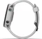 Garmin Forerunner 745 whitestone Vorschaubild