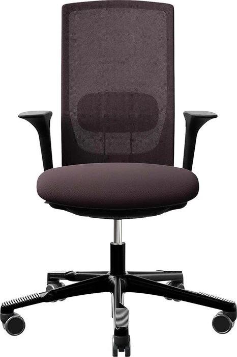 braun, Gestell schwarz