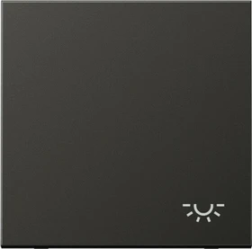 Jung Serie LS Wippe Symbol Licht, anthrazit