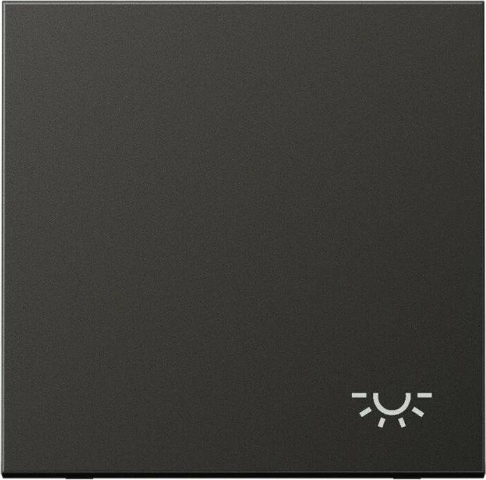 Jung Serie LS Wippe Symbol Licht 990 L