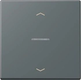 Jung HOME Taster 1-fach, gris foncé 31
