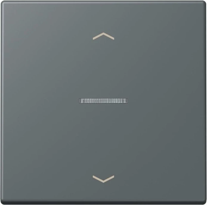 Jung HOME Taster 1-fach, gris foncé 31