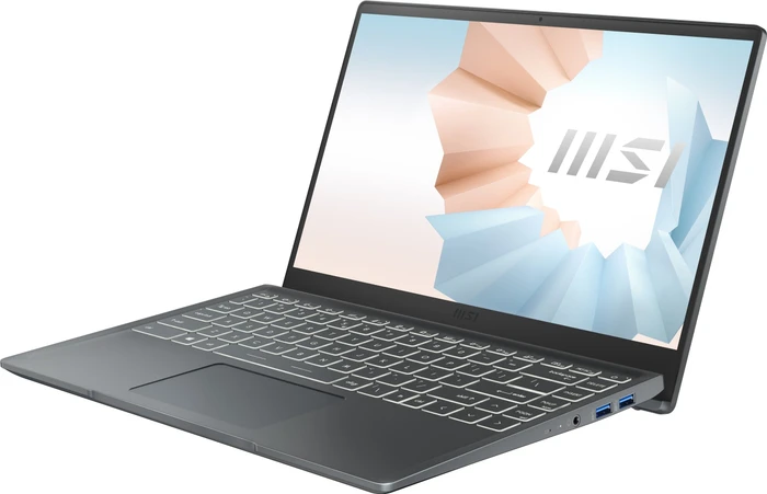 MSI Modern 14 B11M-028, Carbon Gray, Core i7-1165G7, 8GB RAM, 512GB SSD, DE