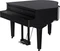 Roland GP-9 schwarz Vorschaubild