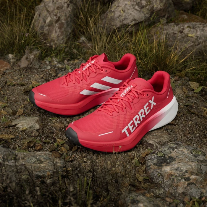 adidas Terrex Agravic 3 pure ruby/dash grey/cloud white (Herren)