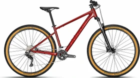 Focus Whistler 3.7 Modell 2022
