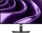 Dell P-Serie 2026 Vorschaubild
