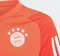 adidas FC Bayern München Tiro 23 Trainingstrikot red/bright red/white (Junior) Vorschaubild
