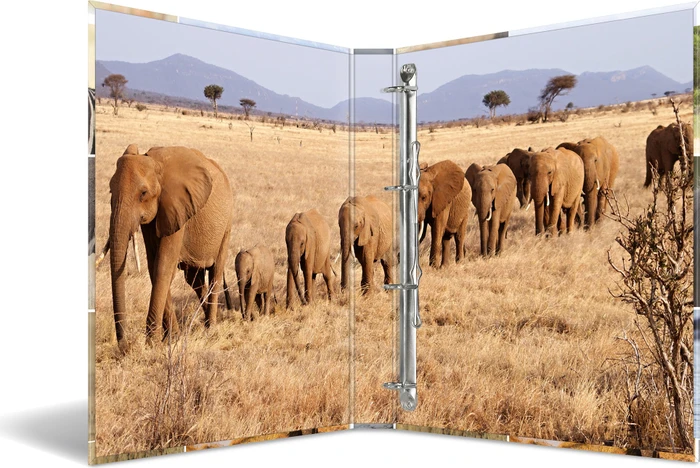 Herma 4D Ringbuch 4-Ring, 30mm, A4, Motiv Afrika Tiere