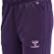 hummel Core XK Poly Trainingshose lang acai (Damen) Vorschaubild