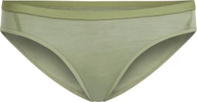 Icebreaker Siren Slip lichen (Damen)
