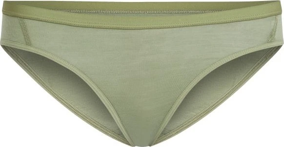 Icebreaker Siren Slip lichen (Damen)