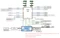 ASRock Rack SIENAD8UD-2L2Q (AMD SP6) Vorschaubild