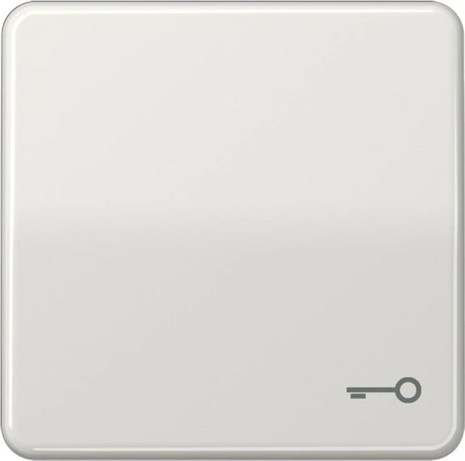 Jung Serie CD Wippe Duroplast mit Symbol "Tür", lichtgrau