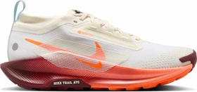 Nike Pegasus sail/glacier blue/dark team red/hyper crimson (Damen)