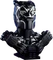LEGO Marvel Super Heroes Spielset - Black Panther Vorschaubild