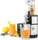 Klarstein OJ6 Fruitberry Slow Juicer edelstahl (10029377)
