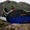adidas Terrex Free Hiker 2.0 Low GTX wonder beige/core black/semi impact orange (Herren) Vorschaubild