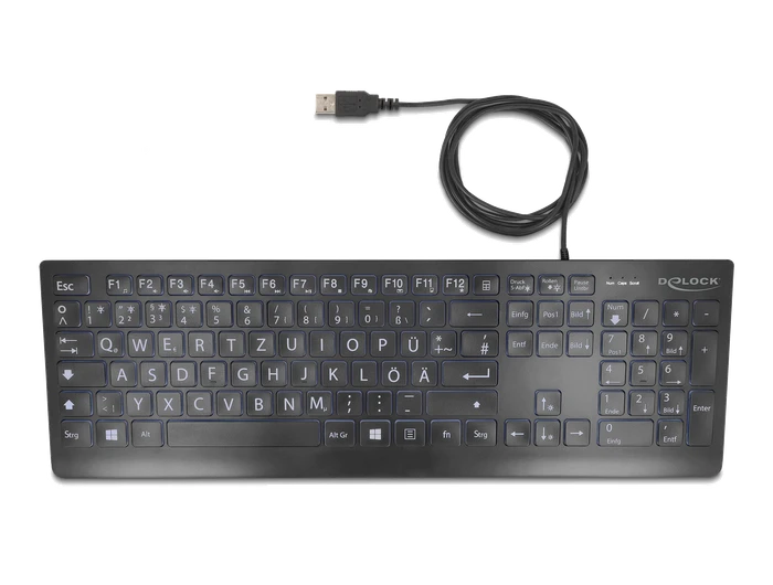 DeLOCK USB Keyboard mit XXL Buchstaben, schwarz, beleuchtet, USB, DE