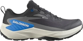 Salomon Genesis Gore-Tex black/lunar rock/french blue (Herren)