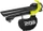 Ryobi RBV3000CESV Elektro-Laubsauger (5133002190)