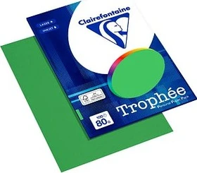 Clairefontaine Trophée Universalpapier matt maigrün, A4, 80g/m², 100 Blatt
