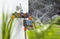 Gardena 4-Wege-Verteiler G3/4", G1" Vorschaubild