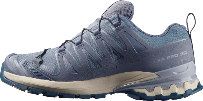 Salomon XA Pro 3D V9 GTX grisaille/tradewinds/spellbound (Damen)