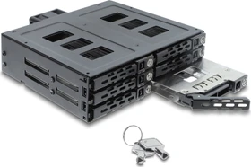 DeLOCK 5.25" Wechselrahmen, 6x 2.5" SATA/SAS