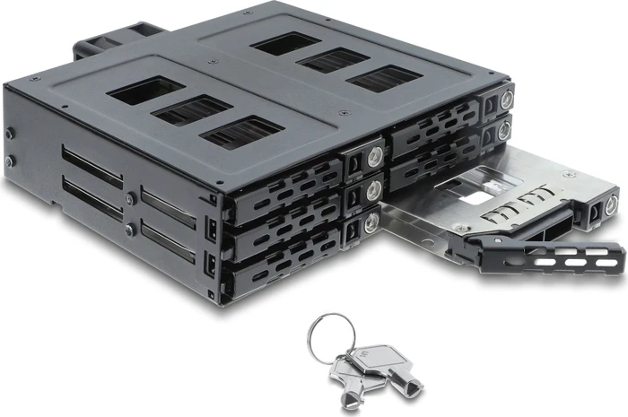 DeLOCK 5.25" Wechselrahmen, 6x 2.5" SATA/SAS