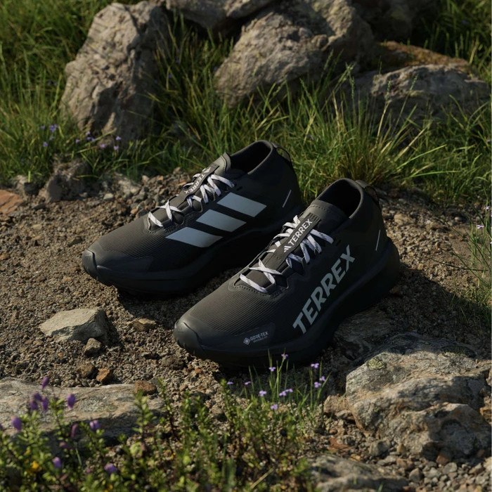 adidas Terrex Agravic GTX Trail core black/silver dawn/grey two (Damen)