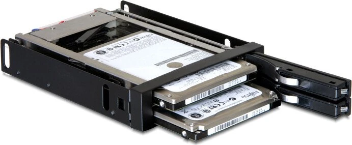 DeLOCK 3.5" Wechselrahmen für 2x 2.5" SATA