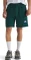 The North Face NSE Box Hose kurz (Herren) Vorschaubild