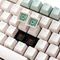 Ducky One 3 TKL PBT, Matcha, grün/weiß, MX BROWN, USB, DE Vorschaubild