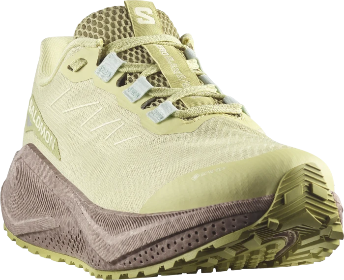 Salomon Aero Glide 3 GRVL GTX green haze/iron/ice flow (Damen)