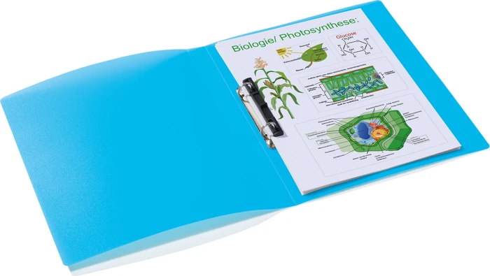 Herma Ringbuch 2-Ring, 25mm, A4, hellblau/transparent, 3er-Pack