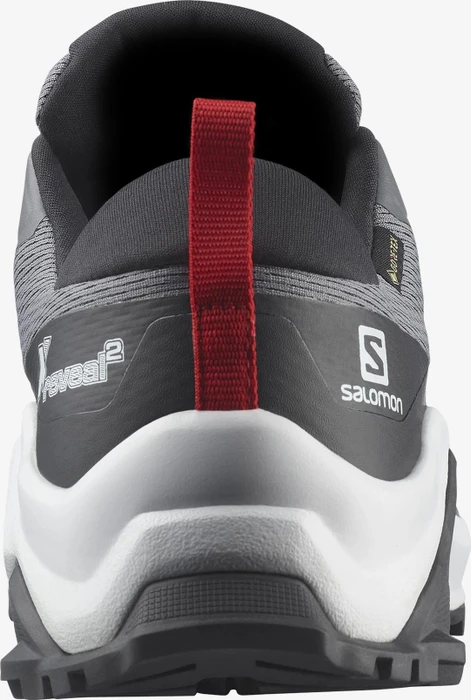 Salomon X Raise 2 GTX quiet shade/black/goji berry (Herren)