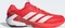 adidas Adizero Ubersonic 5 lucid red/zero metalic/aurora ruby (Herren) Vorschaubild