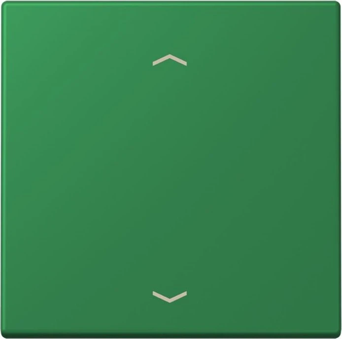 Jung Wippe 1-fach, vert foncé