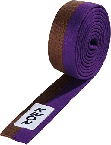 Kwon Budo Gürtel braun