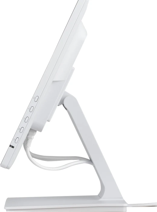 iiyama ProLite T2452MSC-W2AG, 23.8"