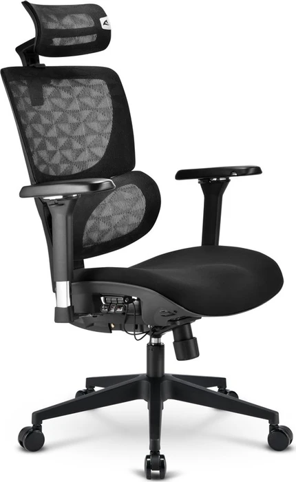 Sharkoon OfficePal C40 Bürostuhl, schwarz