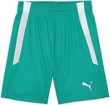 Puma TeamLIGA Shorts Trainingshose kurz pepper green/puma white (Junior)