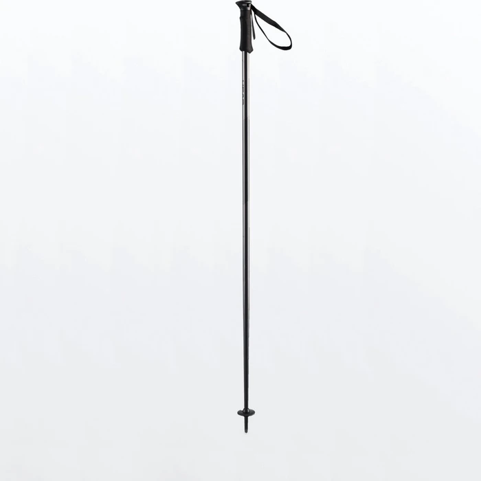 Head Multi S Alpin Skistock (Modell 2021/2022)