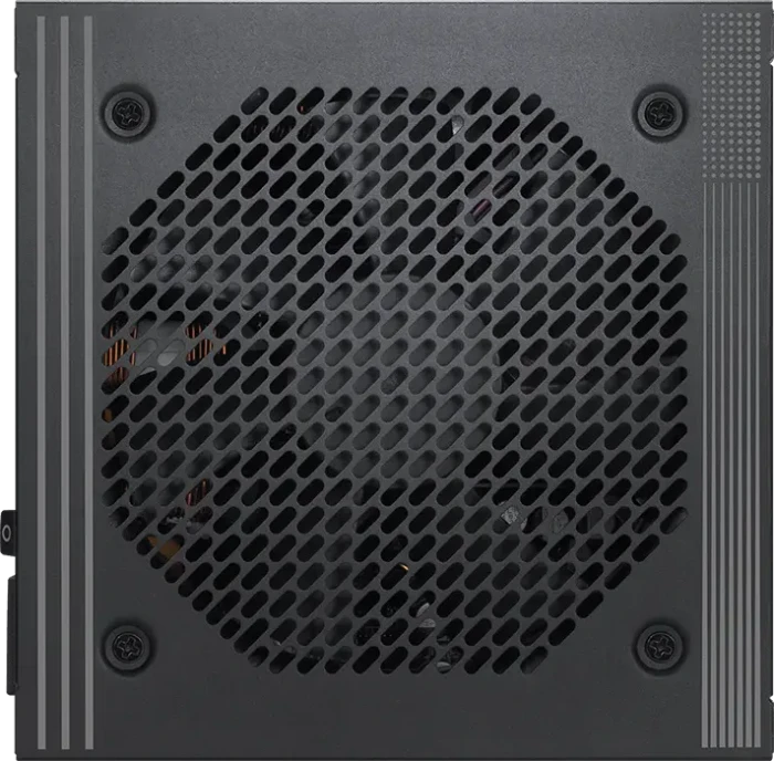 MSI PRO A1000PL PCIE5 1000W, ATX 3.1