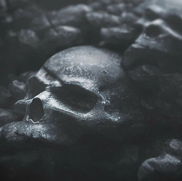 Titanwolf Skulls XXL Speed Gaming-Mauspad, schwarz
