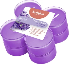 Bolsius Aromatic Tealights Maxi French Lavender Duftkerze, 6 Stück