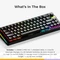 Glorious GMMK 3 Pro HE Wireless 65% Pre-built Gaming Keyboard, schwarz, LEDs RGB, Glorious Fox HE, USB/Bluetooth, US Vorschaubild
