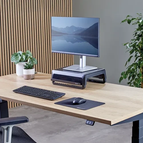 Fellowes Breyta XL Microban Mausepad, 280x250mm, schwarz